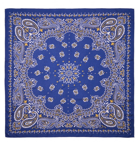 Foulard femme coloré bleu , Paisley Wild by Hipanema 
Foulard en matière Laine et Modal
Taille : 130 X 130 cm 
Idée cadeau femme , foulard , wild , hipanema