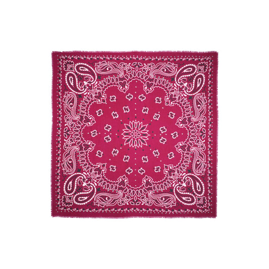 Foulard Big Paisley Bordeaux Wild by Hipanema
